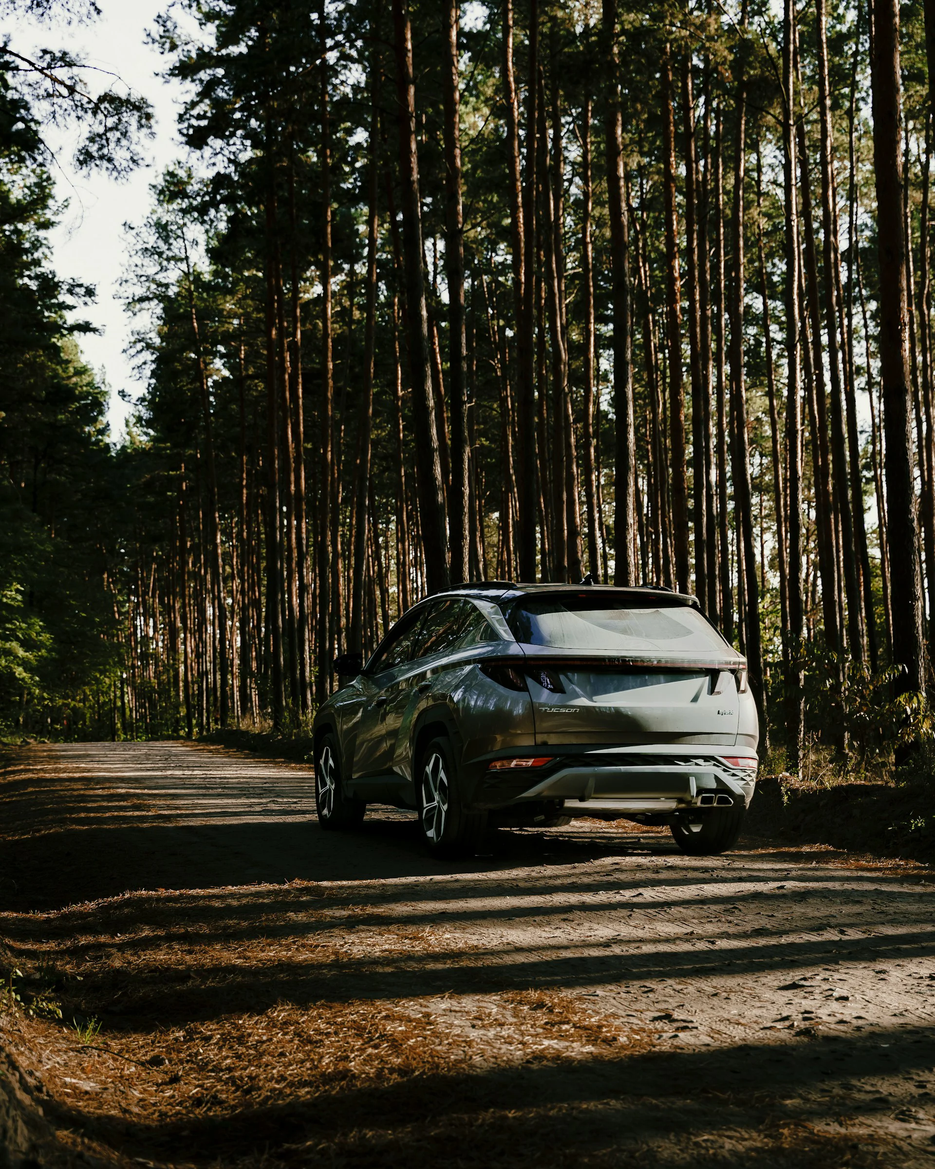 Hyundai Tucson SUV driving on a dirt road through a forest
