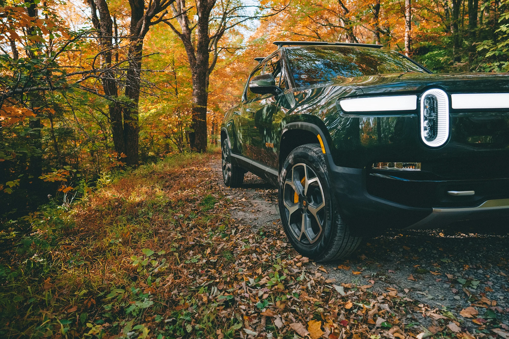 Rivian R1T electric pickup truck parked on a wooded trail with fall foliage