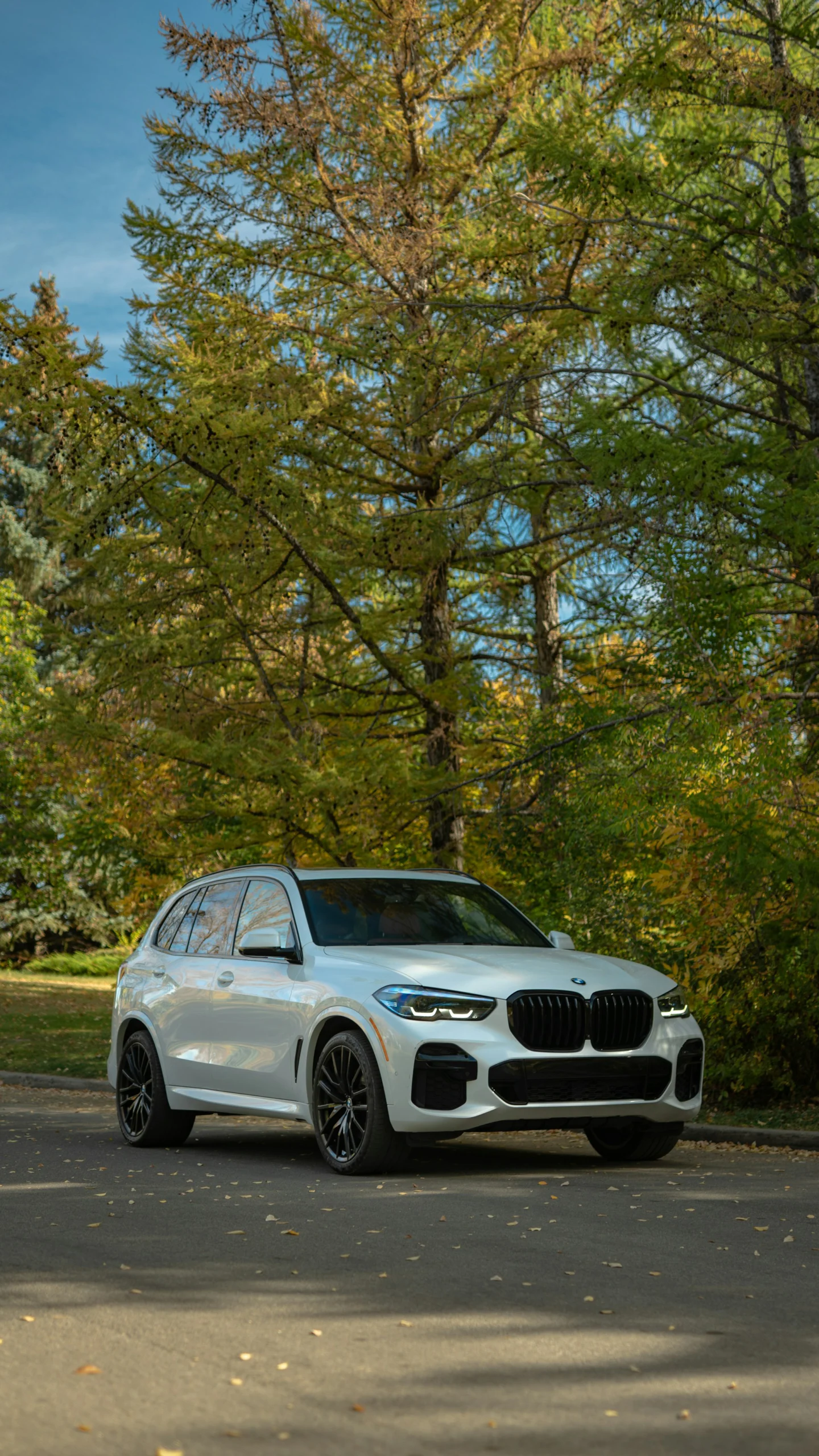 BMW X5 SUV parked on a road surrounded by trees