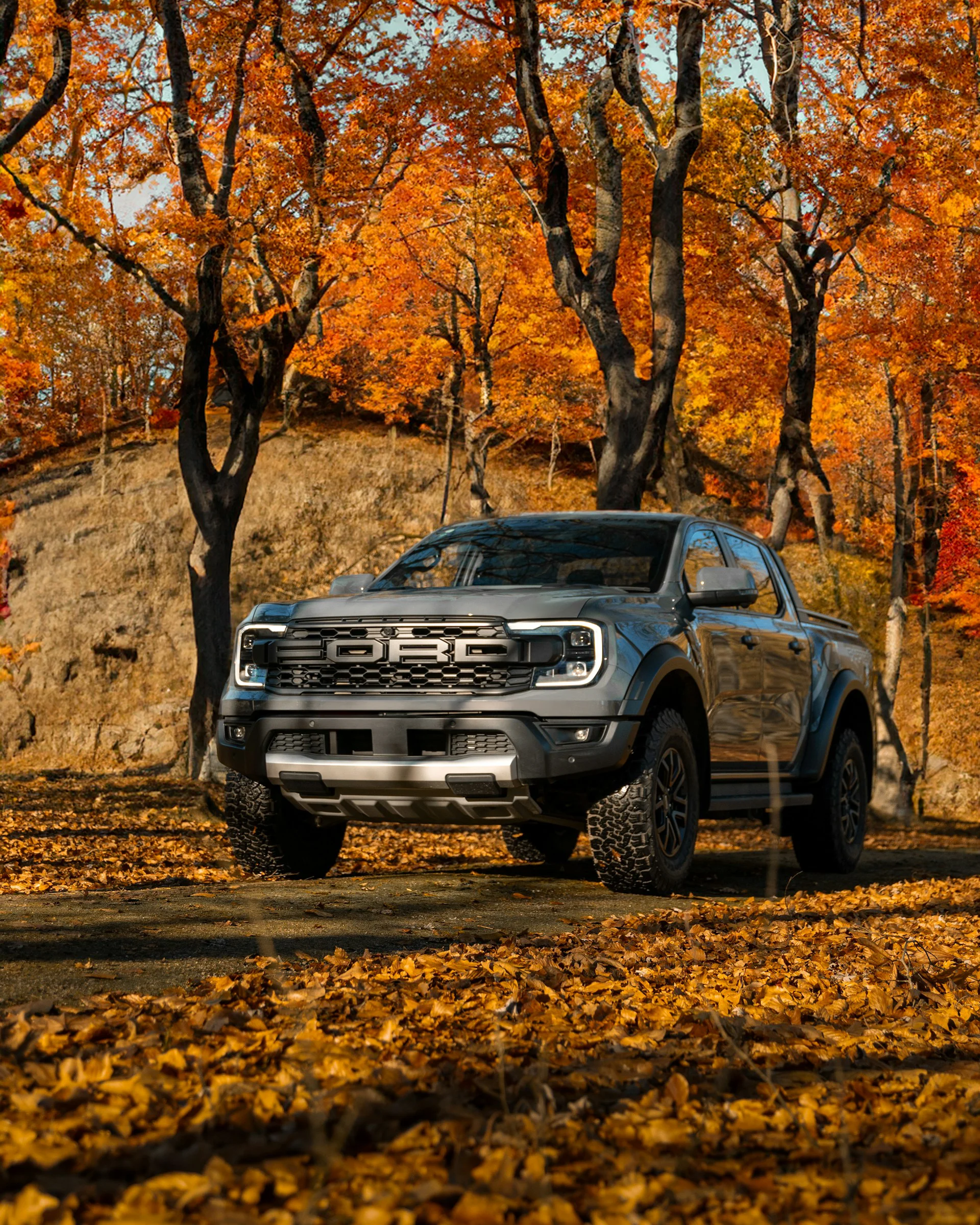Ford Ranger Raptor pickup truck parked in autumn forest with fallen leaves