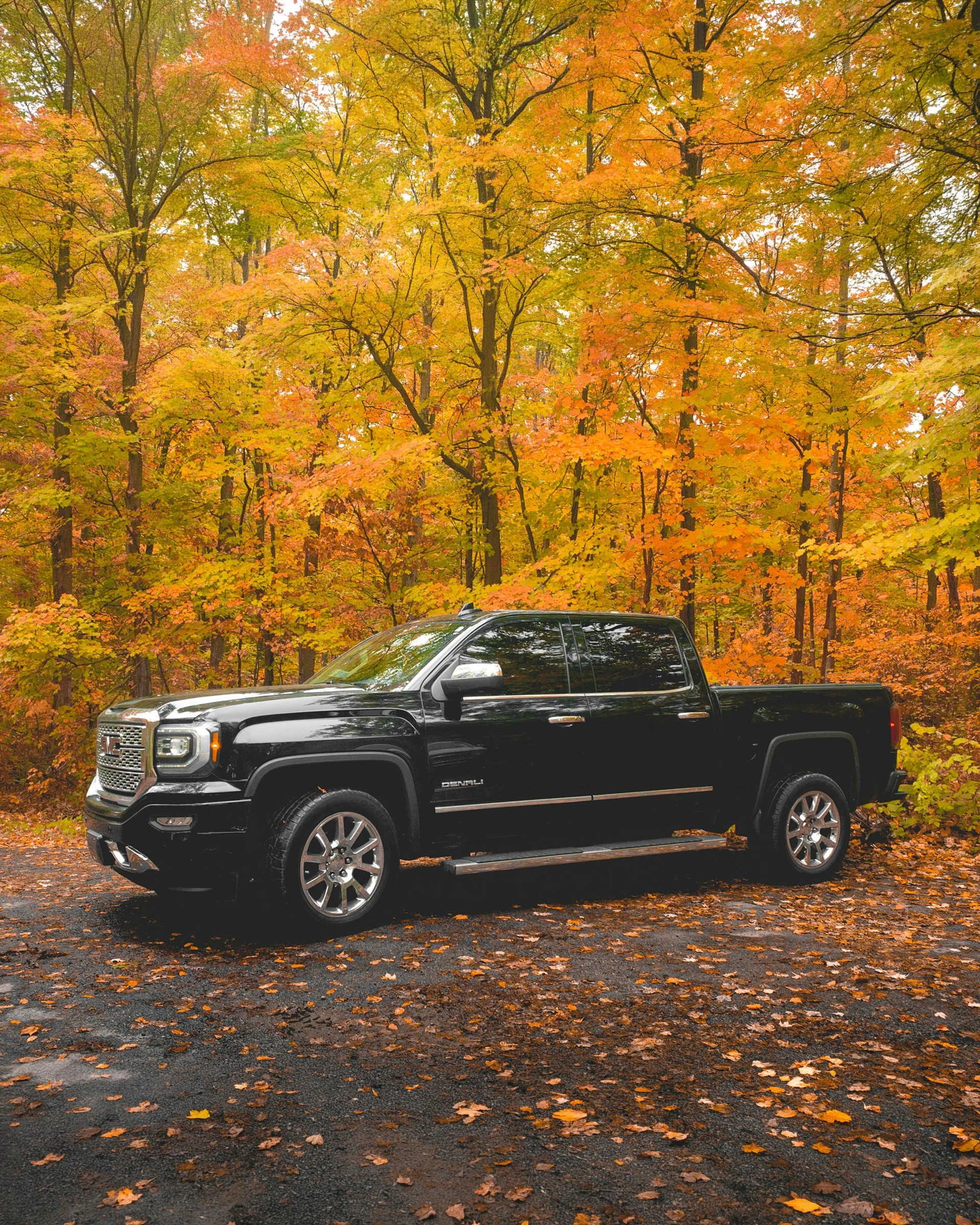 GMC Sierra Denali pickup truck parked in a forest with fall foliage