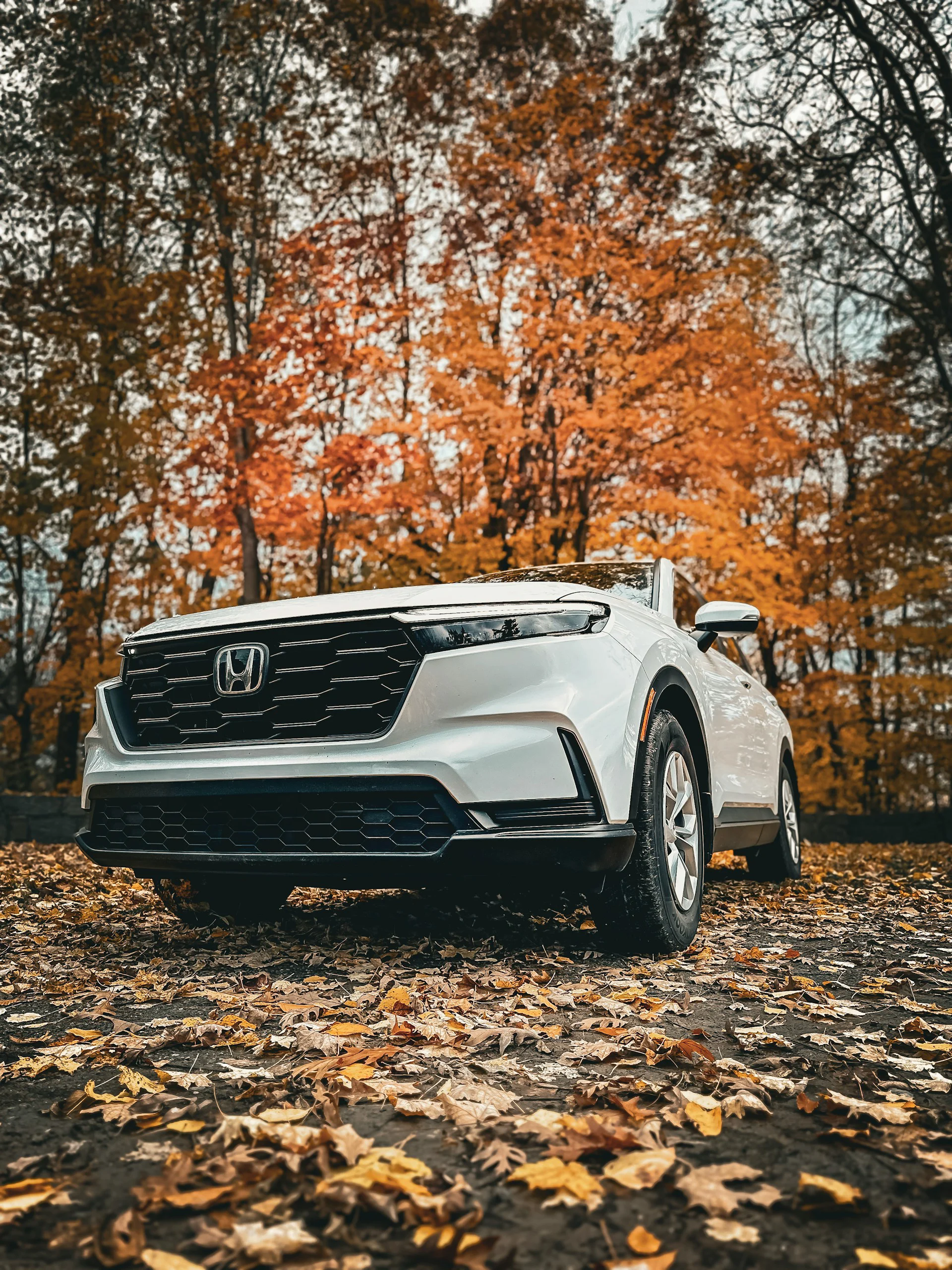 Honda SUV exterior parked on fallen leaves in autumn setting