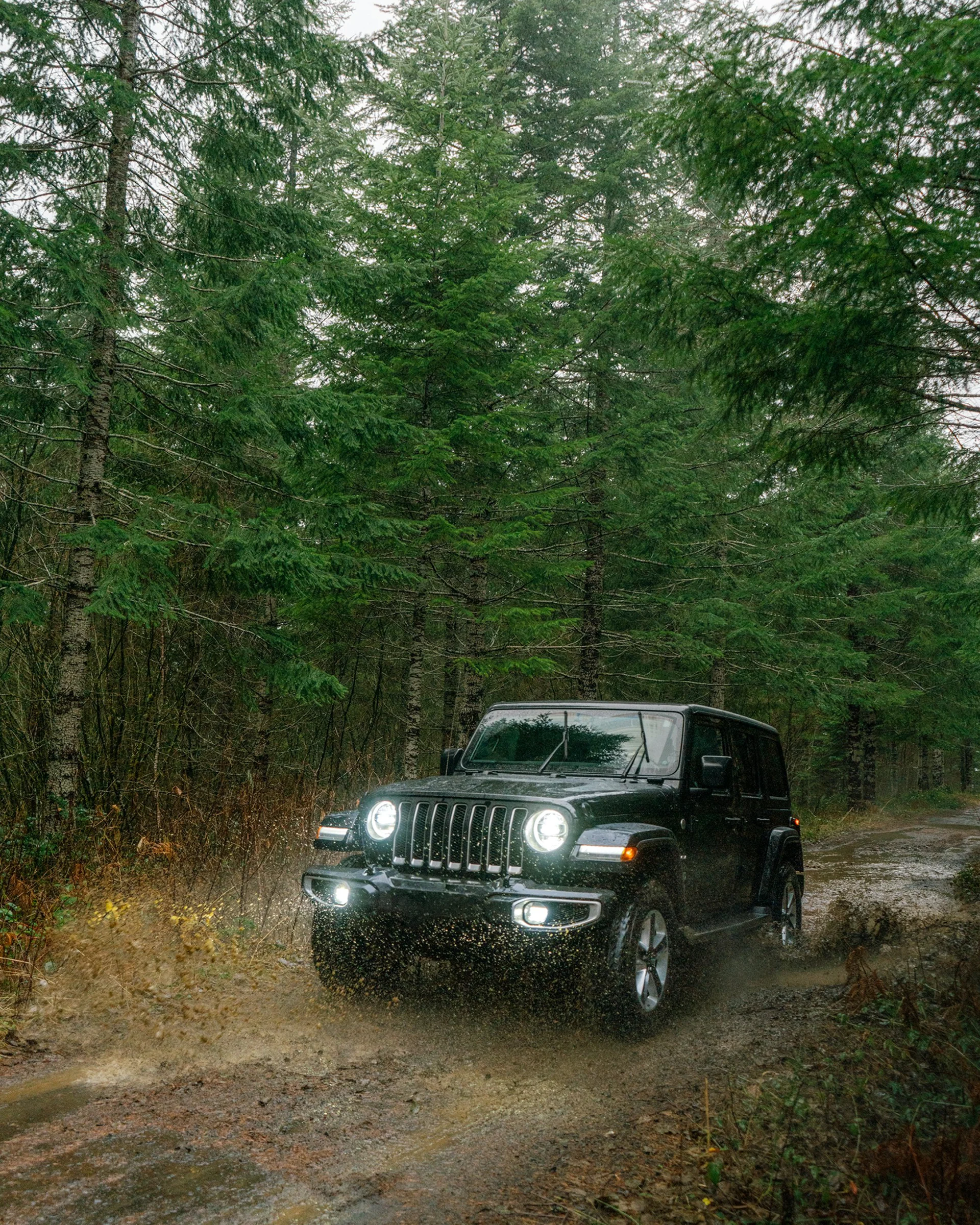 Jeep Wrangler driving through muddy forest trail with water splash